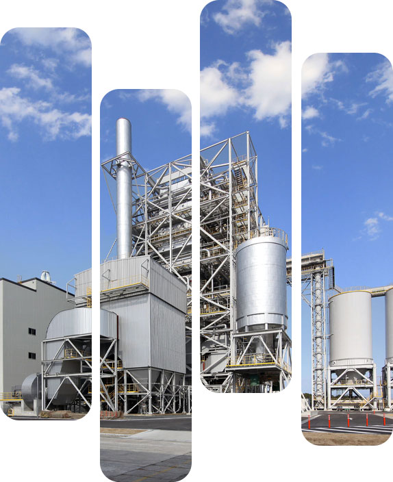 línea de producción de pellets de biomasa