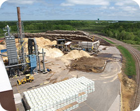 línea de producción de alimentos acuáticos