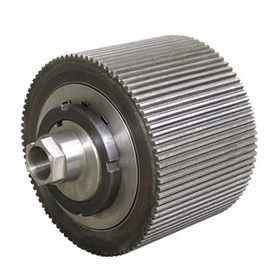 anillo de la máquina de pellets morir